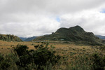 Papallacta Pass: to the left, it's all downhill to the Amazon basin, to the right, the interandean valley and Quito.