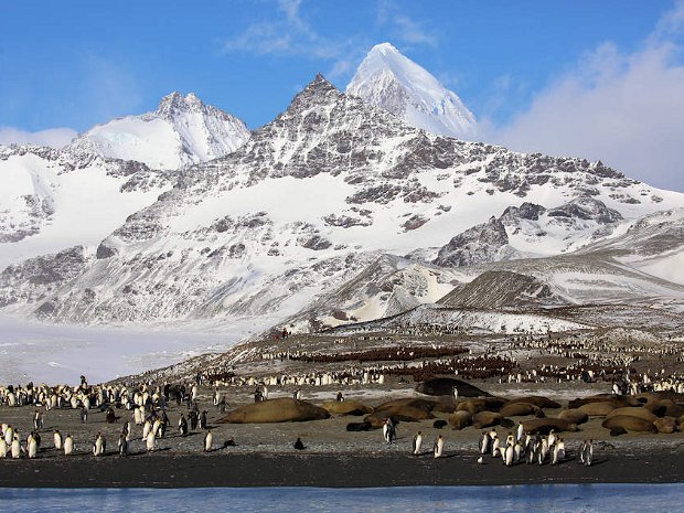 Falklands South Georgia